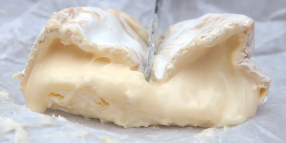 Full Guide to Camembert Cheese
