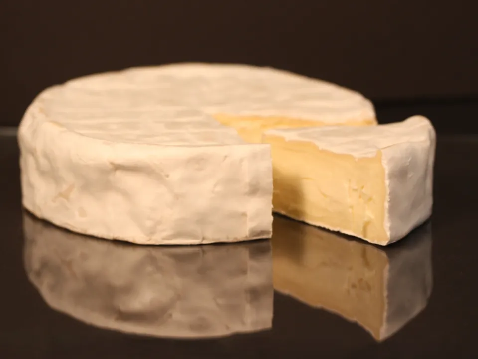 Full Guide to Camembert Cheese