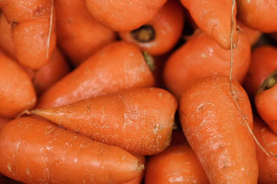 How Much Sodium Is in a Carrot (Find out)