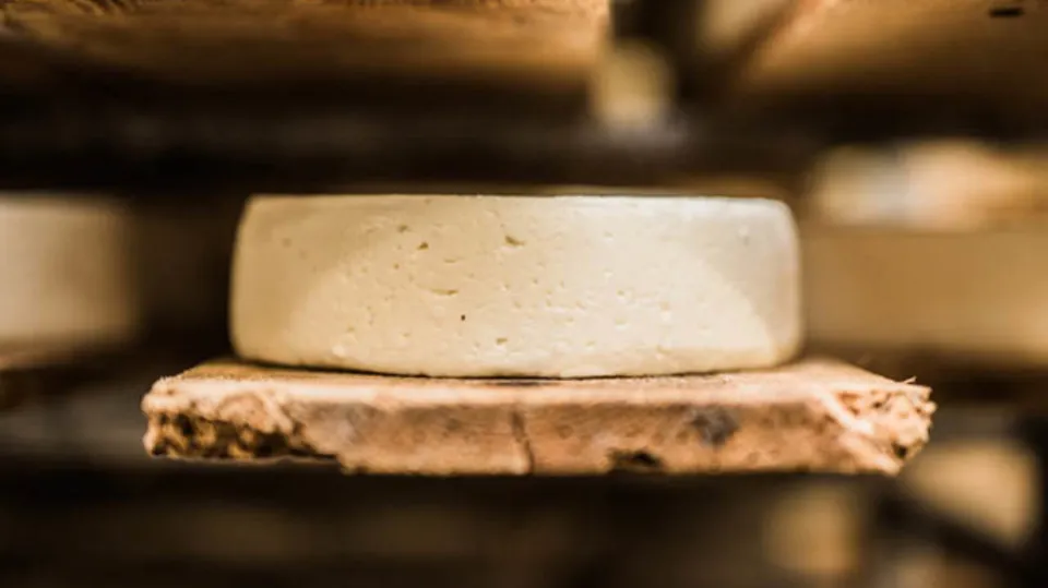 What Is Raw Cheese? (All You Want to Know)