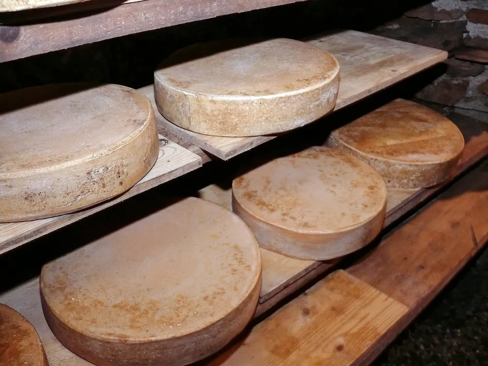 What Is Raw Cheese? (All You Want to Know)